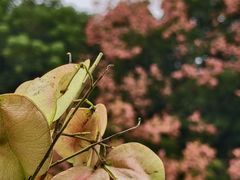 -武汉荟聚