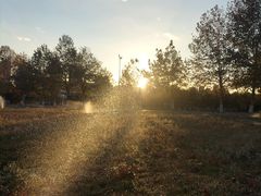 -东北大学(秦皇岛分校)