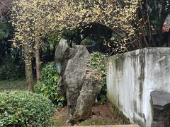 -无锡梅园公园