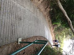 iphone_upload_pic-南丫岛