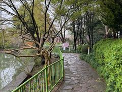 -嘉定紫藤园
