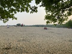 -东郊湿地公园