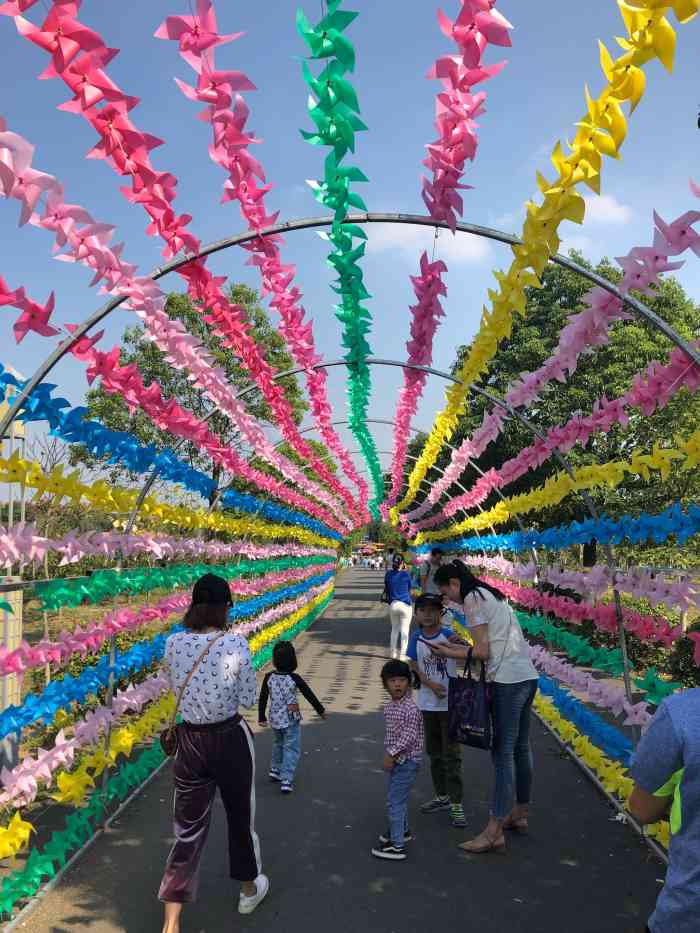 武家嘴热带风情谷-"五一节搞活动去的,发朋友圈可以领免费门票.