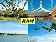 -芭厘·农庄老字号.电饭煲五指毛桃焗鸡