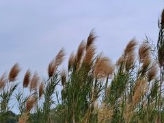 -风云岭森林公园