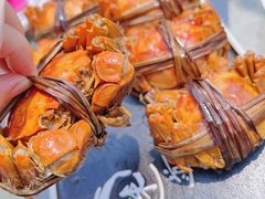 -七的湖·晚芳亭·阳澄湖农家菜·大闸蟹(莲花岛店)