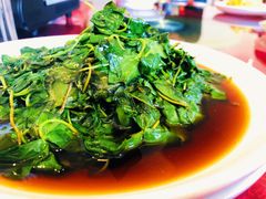 金花菜-湖鲜楼