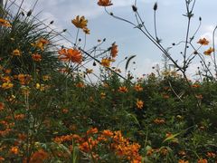 -将军关探险漂流