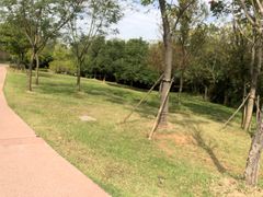 -盘龙城国家考古遗址公园