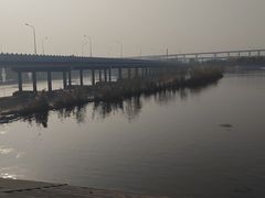-绿堤公园