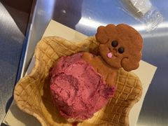 -CORNER CONE GELATO酷矿手作霜淇淋(南头古城店)