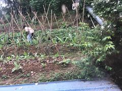 -天强农家菜馆