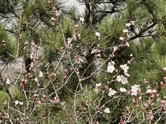 -蟠龙山长城景区