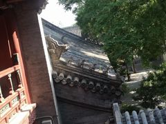 -白云观