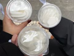 -洪馨椰子