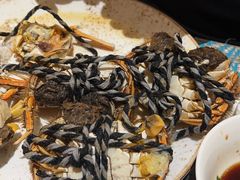 -沈阳和平艾美酒店新食谱西餐厅