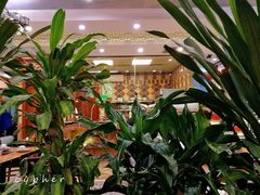 大堂-巴依老爷新疆美食(望京小街店)