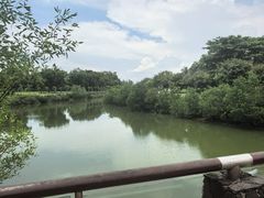 -万绿园