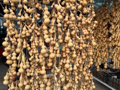 -中环花鸟鱼虫市场