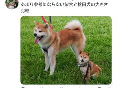 -帝京日语(春熙路旗舰校区)