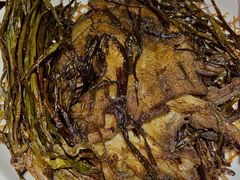 葱烤鸦片鱼头-老吉士酒家(天平路店)