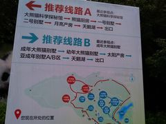 景点-成都大熊猫繁育研究基地