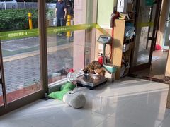 -瑞鹏宠物医院·夜间急症·心超·猫科(祖庙分店)