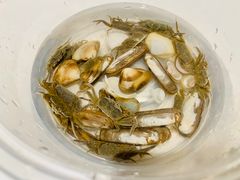 -南汇新城海滩