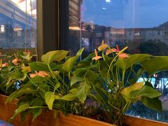 -粤点越有·茶点·粤菜(樵岭国际店)