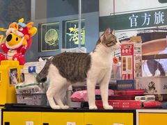 -谜盒子奇幻密室(南屏店)