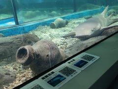 -福州罗源湾海洋世界旅游区