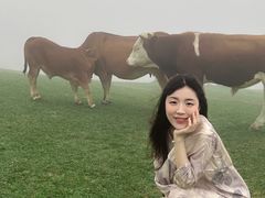 -大姆山草场