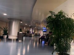 -重庆江北国际机场-T2航站楼