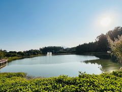 -福建鲤鱼洲酒店