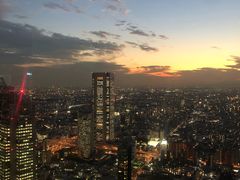 -东京都厅舍