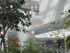 -大树餐厅(红旗街万达店)