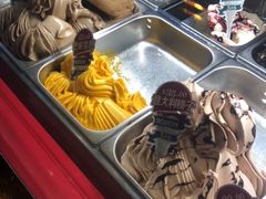 -人民防洪胜利纪念塔