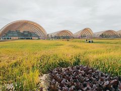 -中国天府农业博览园