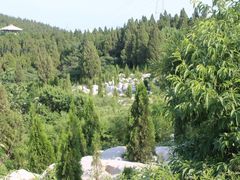 -原山国家森林公园