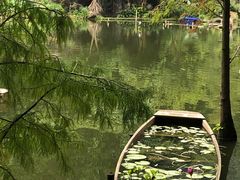 -深圳仙湖植物园
