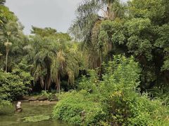 -广西壮族自治区药用植物园