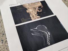 -爱侣宠医·鹦鹉专科·小型哺乳类·异宠专科(灵石路店)