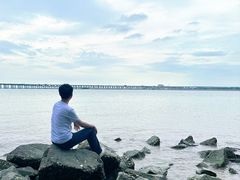 -宝安西湾红树林湿地公园