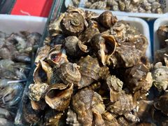 -岳各庄批发市场(西四环中路店)