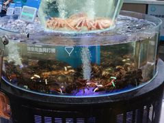 水产区-盒马鲜生(悠方店)