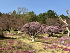 -石岛赤山风景区