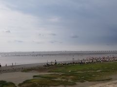 -南汇新城海滩