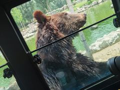 -北京野生动物园