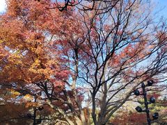 -庐山风景区花径公园