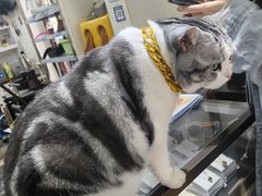 -百金通黄金回收首饰定制维修(珠江路总部)